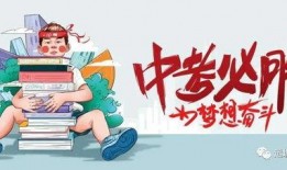 石家庄滑道爆料最新消息,惊险刺激背后的安全疑云揭晓