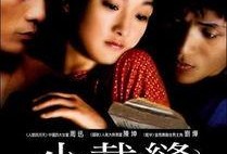 小裁缝电影在线观看,匠心独运，裁剪人生