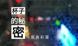 潍坊饭店爆料视频,揭秘背后惊人真相