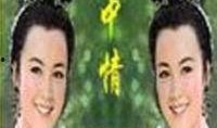 笔中情在线观看