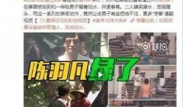 狗仔阿飞爆料出轨视频,明星夫妻出轨视频引发热议