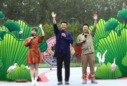 开封李先生最新爆料视频,最新爆料视频背后的惊人真相